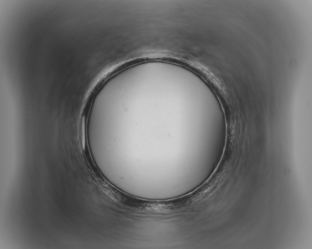 X0000113041175200909171515