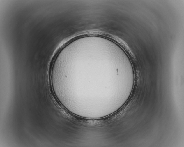 X0000113041176200909171515
