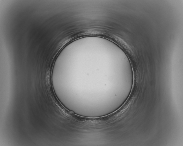 X0000113041177200909171515
