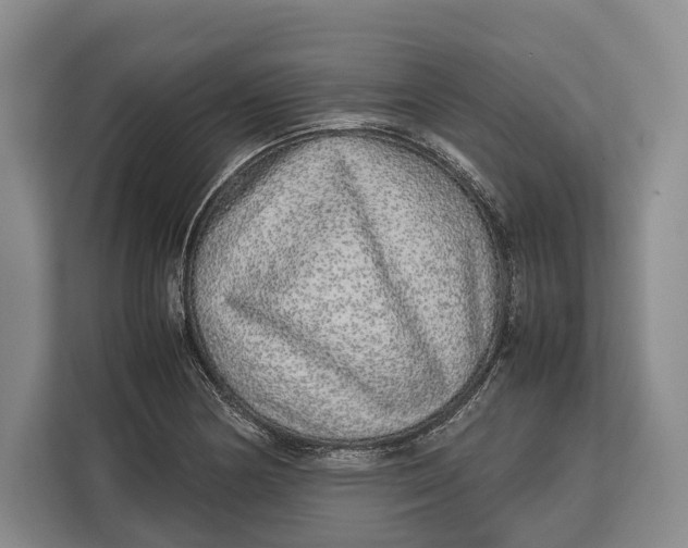 X0000113041178200909171515