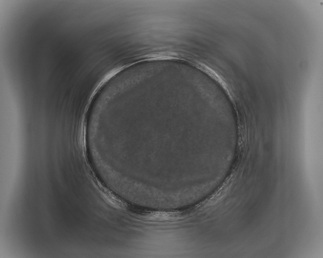 X0000113041179200909171515