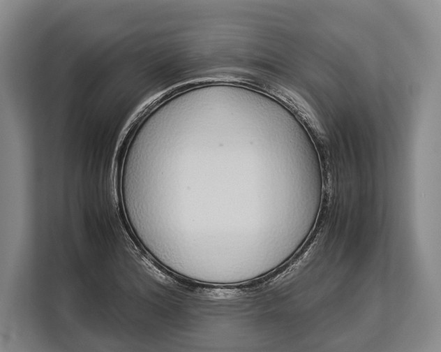 X0000113041180200909171515