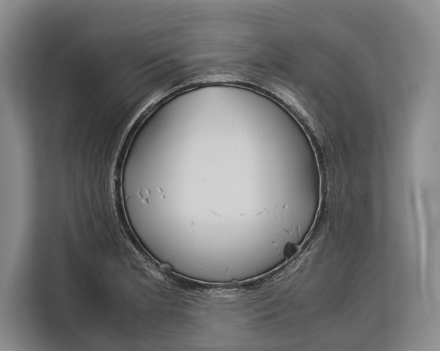 X0000113041181200909171515