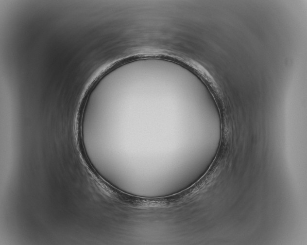 X0000113041183200909171515