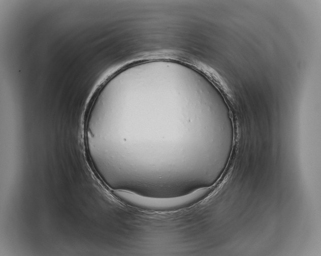 X0000113041184200909171515