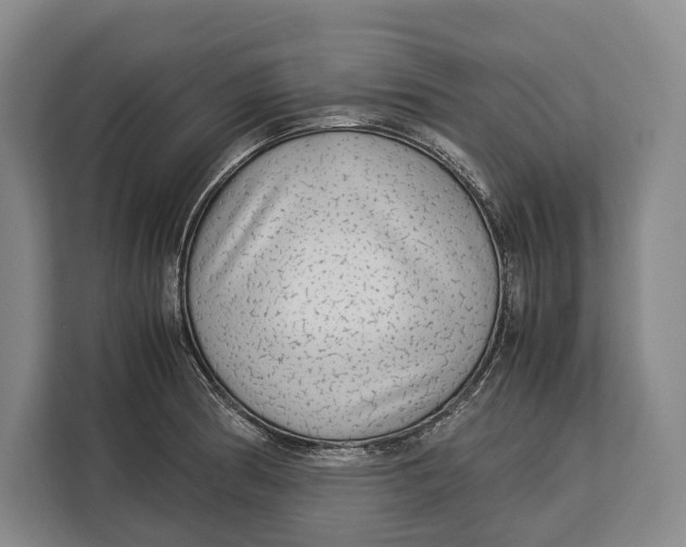 X0000113041186200909171515