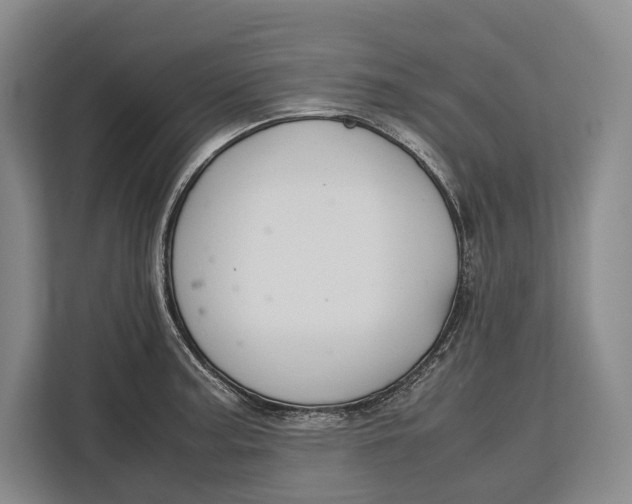 X0000113041187200909171515