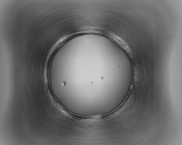 X0000113041188200909171515