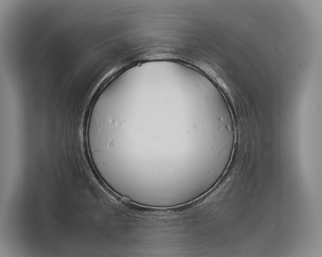 X0000113041189200909171515