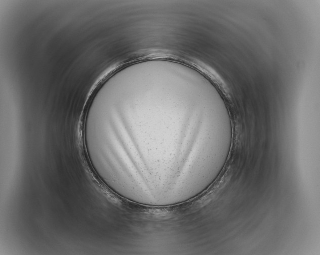 X0000113041190200909171515