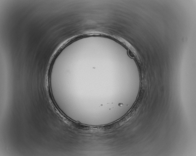 X0000113041191200909171515