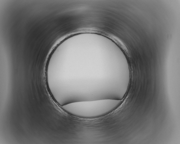 X0000113041192200909171515