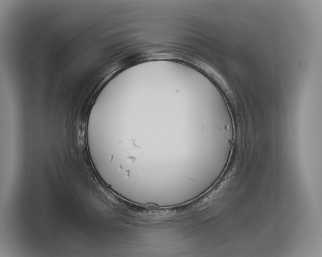 X0000113041193200909171515