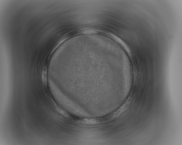 X0000113041194200909171515