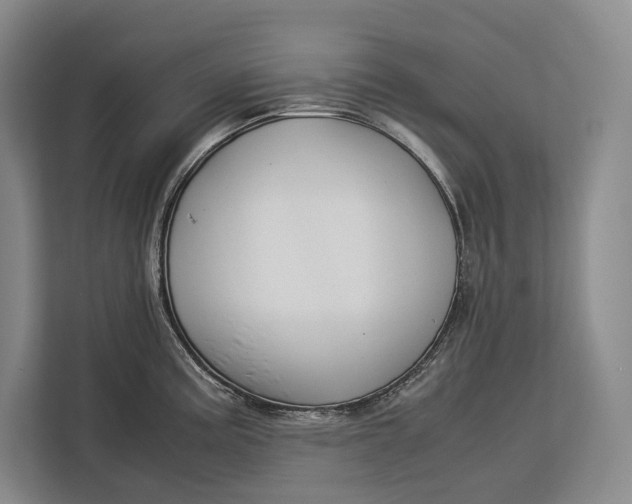 X0000113041195200909171515