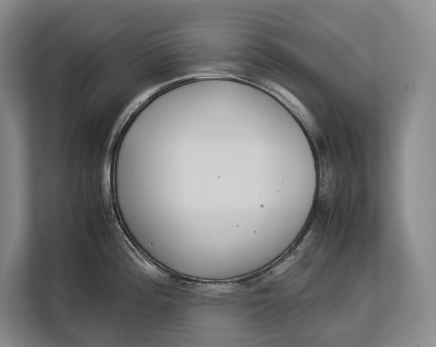 X0000113041196200909171515