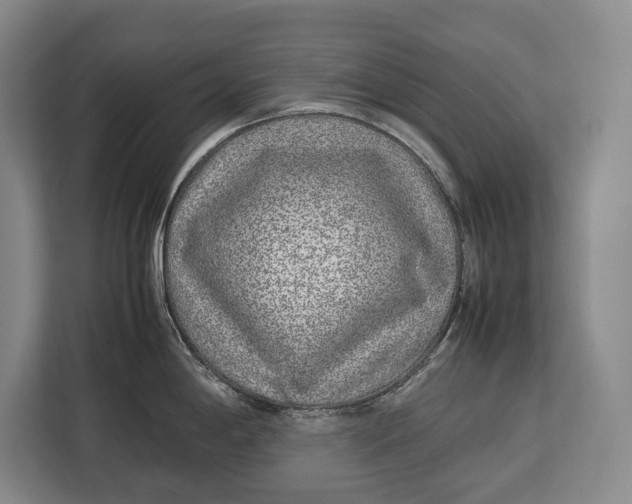 X0000113041198200909171515