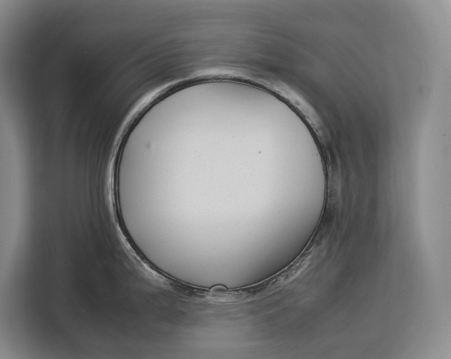 X0000113041199200909171515