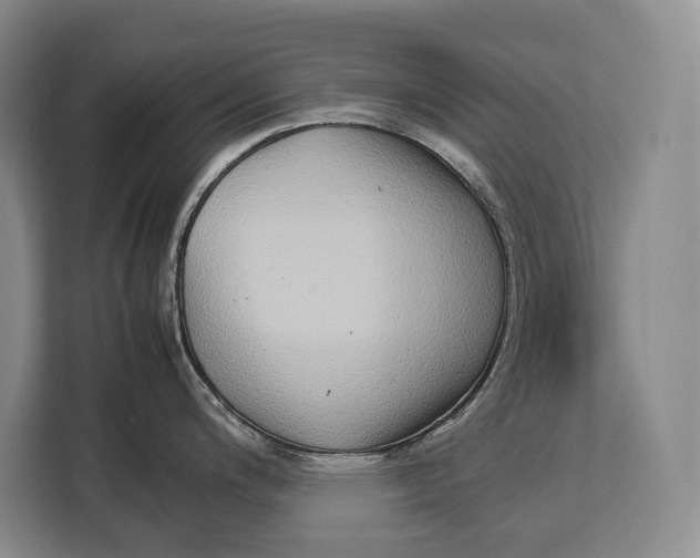 X0000113041200200909171515