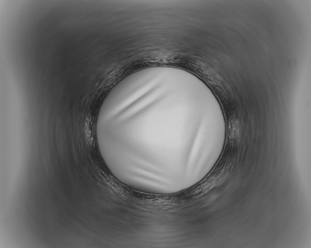X0000113041202200909171514
