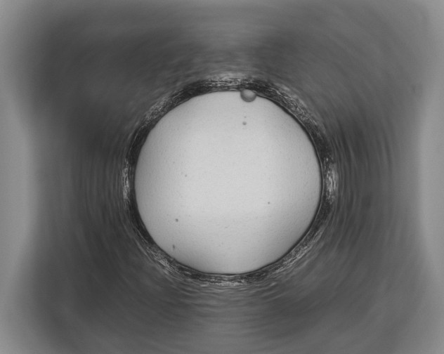 X0000113041204200909171514
