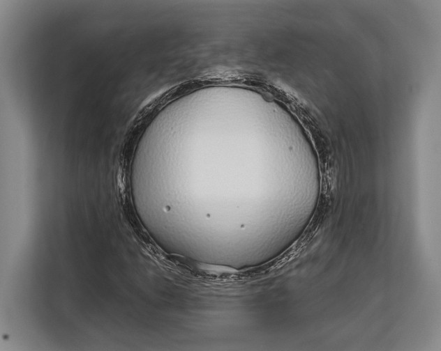 X0000113041206200909171514