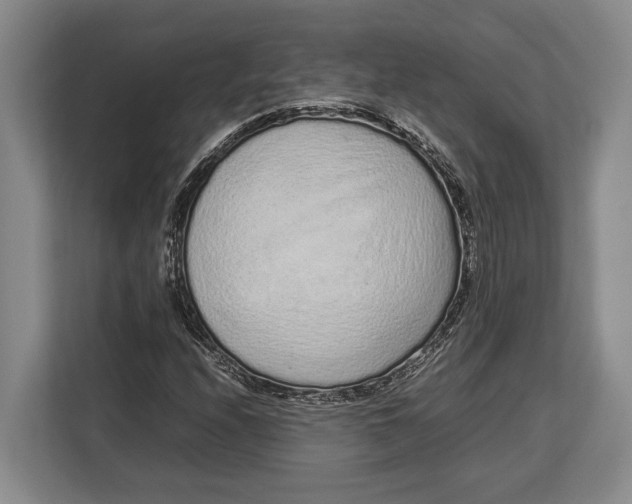 X0000113041208200909171514