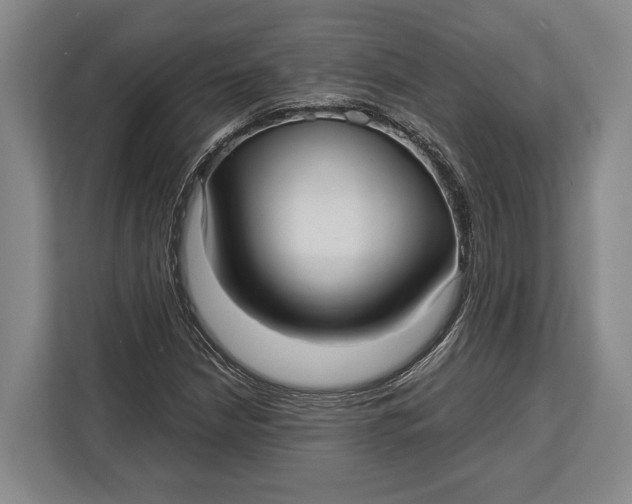 X0000113041210200909171514