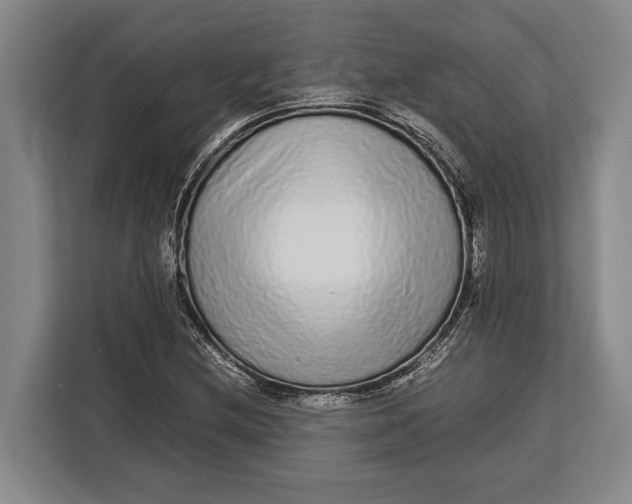 X0000113041212200909171514