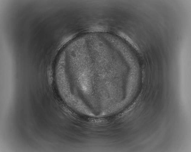 X0000113041213200909171514