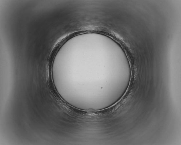 X0000113041214200909171514