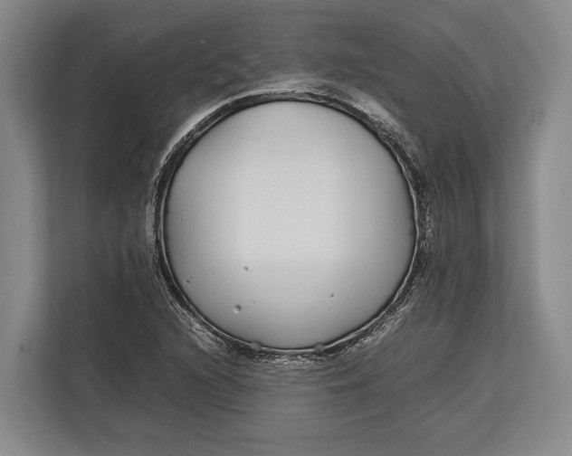 X0000113041216200909171514
