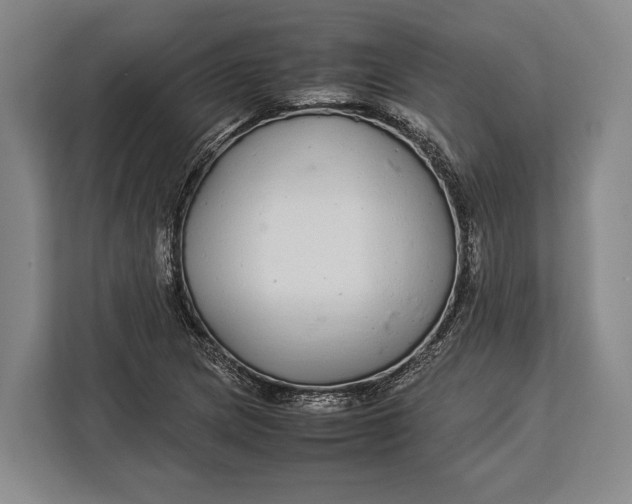 X0000113041217200909171514