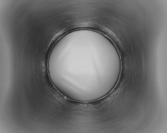 X0000113041218200909171514
