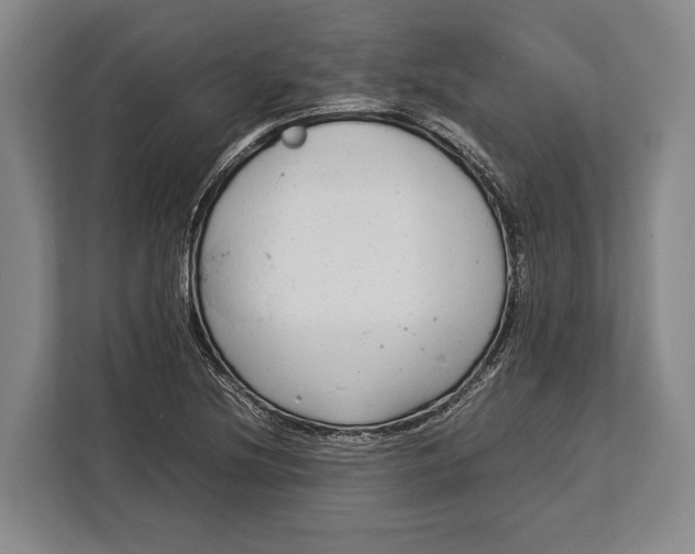 X0000113041220200909171514
