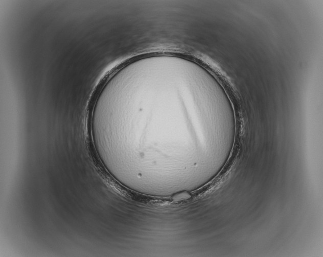 X0000113041222200909171514