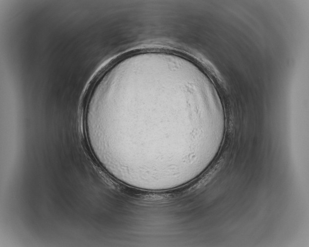 X0000113041224200909171514