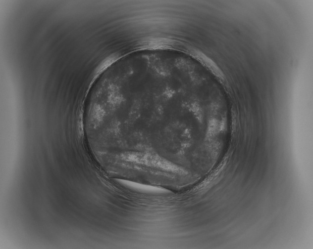 X0000113041226200909171514