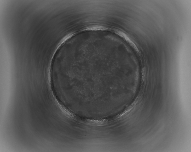 X0000113041229200909171514