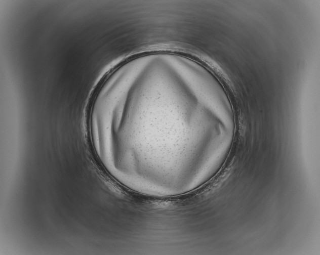 X0000113041230200909171514