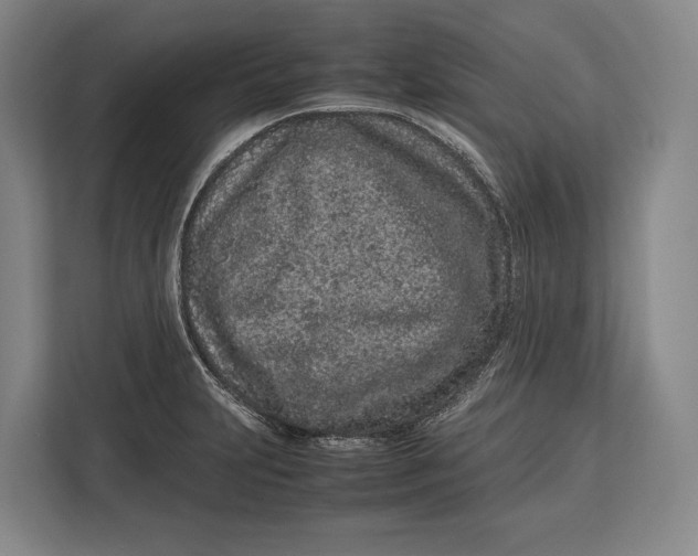 X0000113041231200909171514