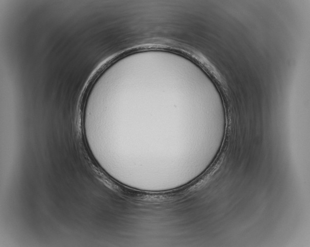 X0000113041232200909171514