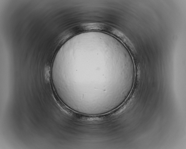 X0000113041233200909171514