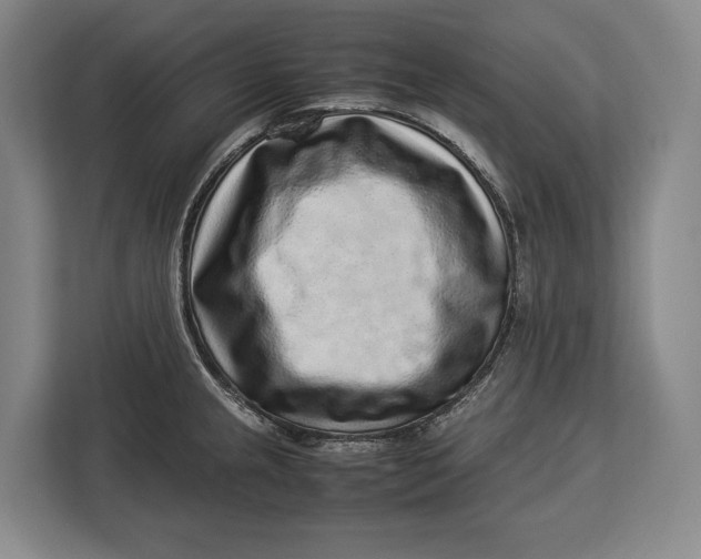 X0000113041237200909171514