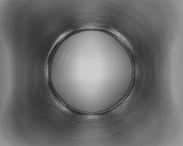 X0000113041238200909171514