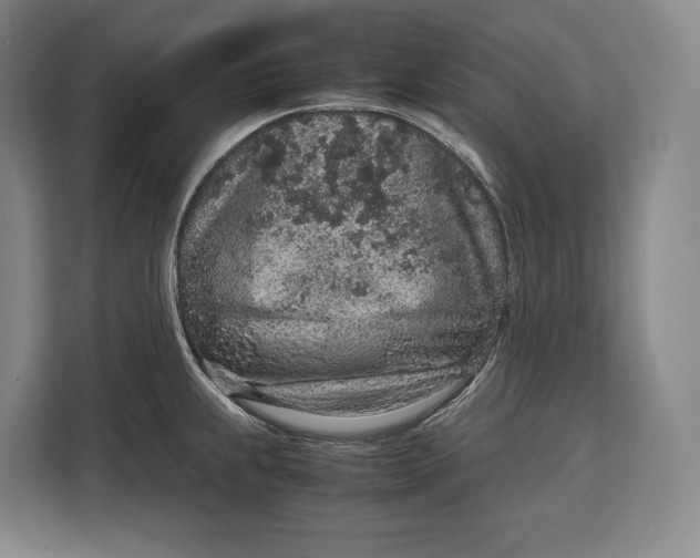 X0000113041239200909171514