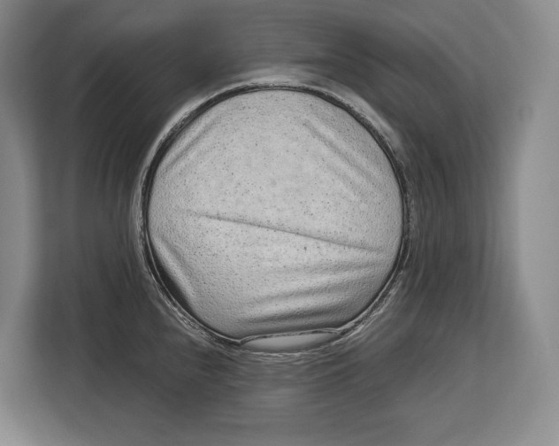 X0000113041240200909171514