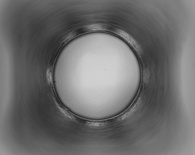 X0000113041241200909171514