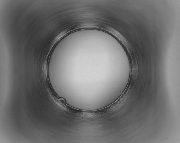 X0000113041242200909171514