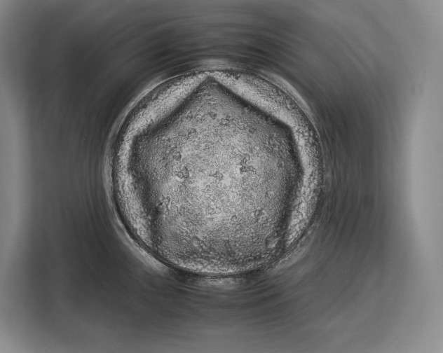 X0000113041243200909171514